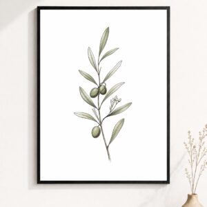 Olive Branch Wall Art – Minimalist Botanical Line Poster