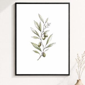 Olive Blossom Wall Art – Botanical Branch Sketch Poster